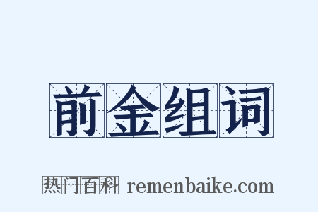 前金组词是什么意思的图片